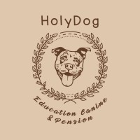Holydog logo - Similar company to Hack Your Style®