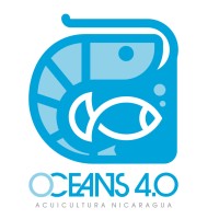 Oceans 4.0 logo - Similar company to Mindove: Catholic Therapy