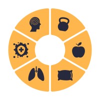 Merwin Bierlee - Trainingen & Trajecten logo - Similar company to Mumkin Coaching