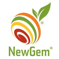 NewGem logo - Similar company to Talkback Snacks