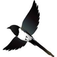 Magpie Ltd logo - Similar company to Anystockbuyer / Anystockseller