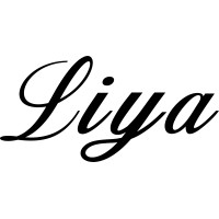 Liya Trading DMCC logo - Similar company to Introuble