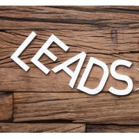 Leads Freelancer