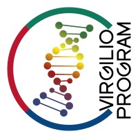 Virgilio Program logo - Similar company to Huuns