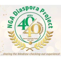 NGA Diaspora 4040™ logo - Similar company to Naijapreneur.Com