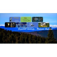 Chappell Multi Services