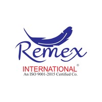 Remex International logo - Similar company to Modern Distropolis Ltd.