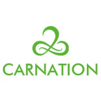 Shandong Carnation Hygiene Products Co., Ltd. logo - Similar company to Nkwings