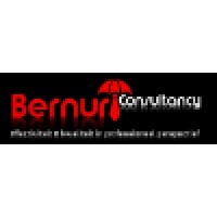 Bernur Consultancy logo - Similar company to Amb Makelaars