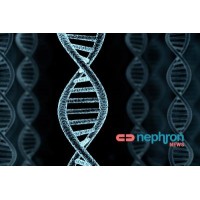 Nephron.gr logo - Similar company to Suplimed Sa De Cv