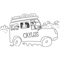 CAYLUS (Central Australian Youth Link Up Service) logo - Similar company to Catholiccare Nt