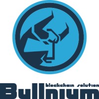 bullnium chain logo - Similar company to Blockhood