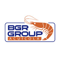 GRUPO BGR logo - Similar company to Brito Group