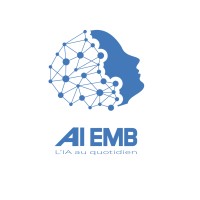 AI EMBedment Solutions logo - Similar company to Ai Flow Solutions