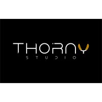 Thorny Studio logo - Similar company to Voltmeta