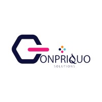 CONPRIQUO SOLUTIONS logo - Similar company to Deepdive It Solutions