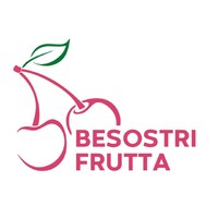 BESOSTRI FRUTTA SRL logo - Similar company to Dabso S.A.