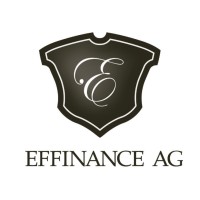Effinance AG logo - Similar company to Avotics