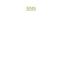 Direct Merchant Service logo - Similar company to Dsa