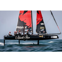 Black Star Sailing logo - Similar company to Move Consultants Ag