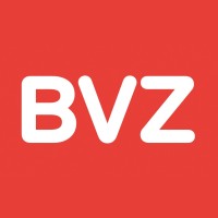 BVZ - Burgenländische Volkszeitung GmbH logo - Similar company to Iv