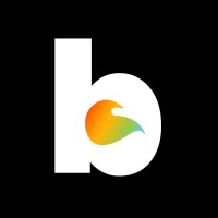 Media Braza logo - Similar company to Prosperidade Conteúdos