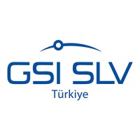 GSI SLV Turkey logo - Similar company to Gsi