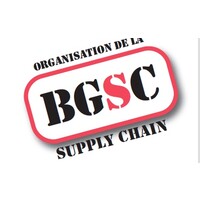 BGSC Supply Chain logo - Similar company to Anc Solutions
