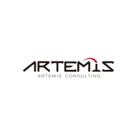 Artemis Consulting Group