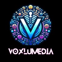 Voxlumedia logo - Similar company to Riggg Inc.