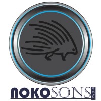 Nokosons (Pty) Ltd logo - Similar company to Datasisar