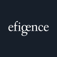 Efigence logo - Similar company to Delfi