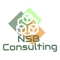 NSB Consulting logo - Similar company to Msb Consulting