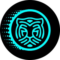 Web Tora Tech logo - Similar company to Flying Forebrain Tech Solutions