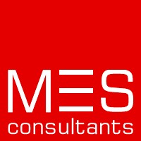 MES Consultants logo - Similar company to Get Consultants