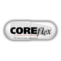 Coreflex Software Systems logo - Similar company to Knowledgestorm