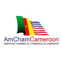 AmCham Cameroon logo - Similar company to Fintech & Payments Association Of Cameroon (Fipac)