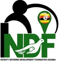 Infinity Network Development Foundation logo - Similar company to Shard Diagnostics