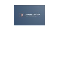 DVentures Consulting logo - Similar company to Schuizz