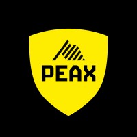 PEAX AG logo - Similar company to Docpier