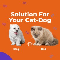cat-dog-solution logo - Similar company to Moonlighting Landscape Lighting Systems