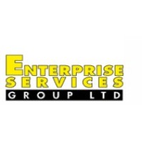 Enterprise Services Group logo - Similar company to Hub Electronics Ltd