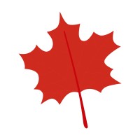 Maple Web Design