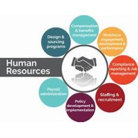 Human Resource services logo - Similar company to Resource - International Executive Search & Recruitment Consultancy