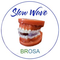 Slow Wave Inc logo - Similar company to Eadsm
