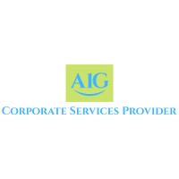 AIG Corporate Services Provider logo - Similar company to Resilient Corporate Services Providers