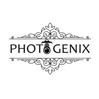 Photo Genix logo - Similar company to Photo Collective