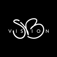 SB Vision logo - Similar company to Bachboss