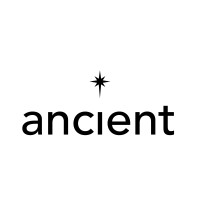 Ancient logo - Similar company to The Visualize Group