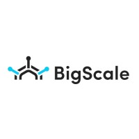 BigScale logo - Similar company to Quantam It